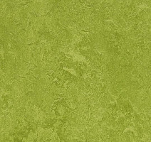 Линолеум Forbo Marmoleum Decibel on Order 324735 green фото 1 | FLOORDEALER